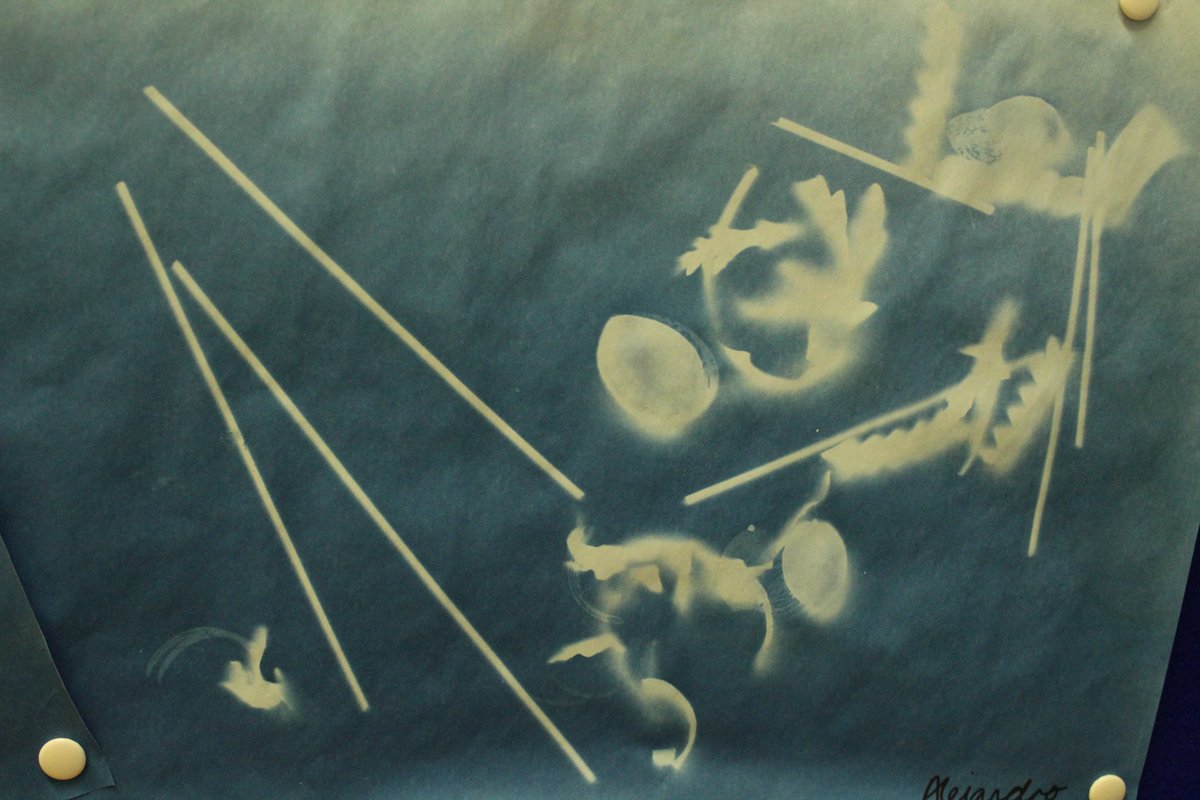 Sunnyhill Primary tweet media