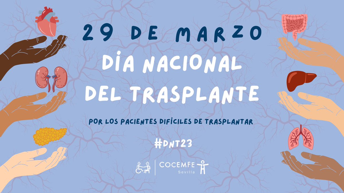 COCEMFESEVILLA's tweet photo. Este 29 de marzo se celebra el #DíaNacionaldelTrasplante  ‘Por los pacientes difíciles de trasplantar’
En 2022, España alcanzó la cifra de 5.383 trasplantes realizados con una media de 15 personas trasplantadas por día, según datos del balance de actividad de la @ONT_esp 
#DNT23 https://t.co/1SGMgERDJy