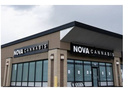 Invest420's tweet image. Nova Cannabis Q4 Revenue Increases 4% Sequentially newcannabisventures.com/nova-cannabis-… #cannabis $NOVC.TO $NVACF