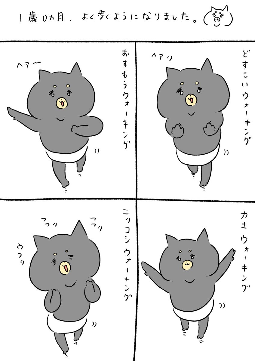 どすこい推しです 