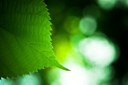 Large #events produce the exact conditions that make neurodiverse people feel  stressed and overwhelmed.  In #WorldAutismAcceptanceWeek, we're reminded to plan events incorporating moments of calm and natural experiences to enhance attendee wellbeing. #eventprofsuk #wellbeing