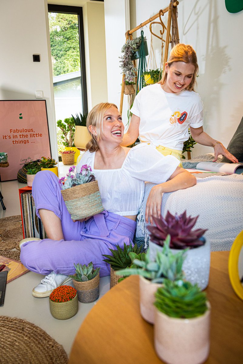 🌱 𝑰𝒕'𝒔 𝒊𝒏 𝒕𝒉𝒆 𝒍𝒊𝒕𝒕𝒍𝒆 𝒕𝒉𝒊𝒏𝒈𝒔...

This also applies to our succulents, give them a lots of 💞 love and a 𝒍𝒊𝒕𝒕𝒍𝒆 of 💦 water.

And you own happy Succulent FRIENDS! Have a great Wednesday 👋🏻