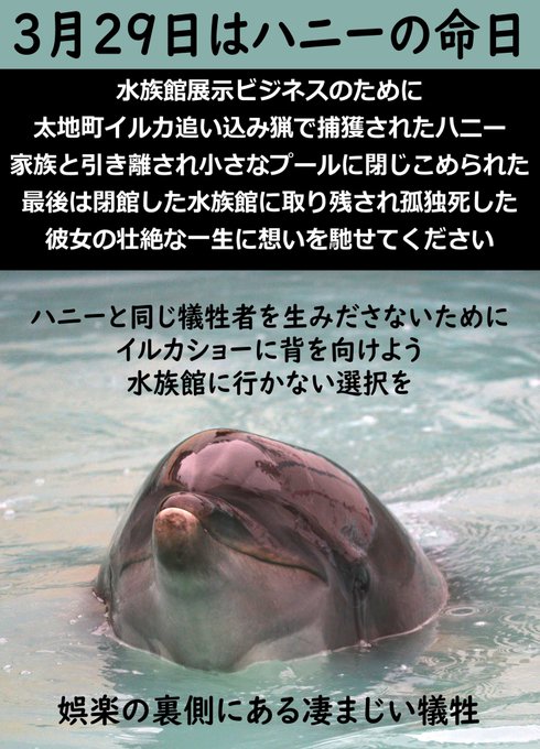 今は貴重な本物のクジラの口の部分です、40年飾っていたため多少の