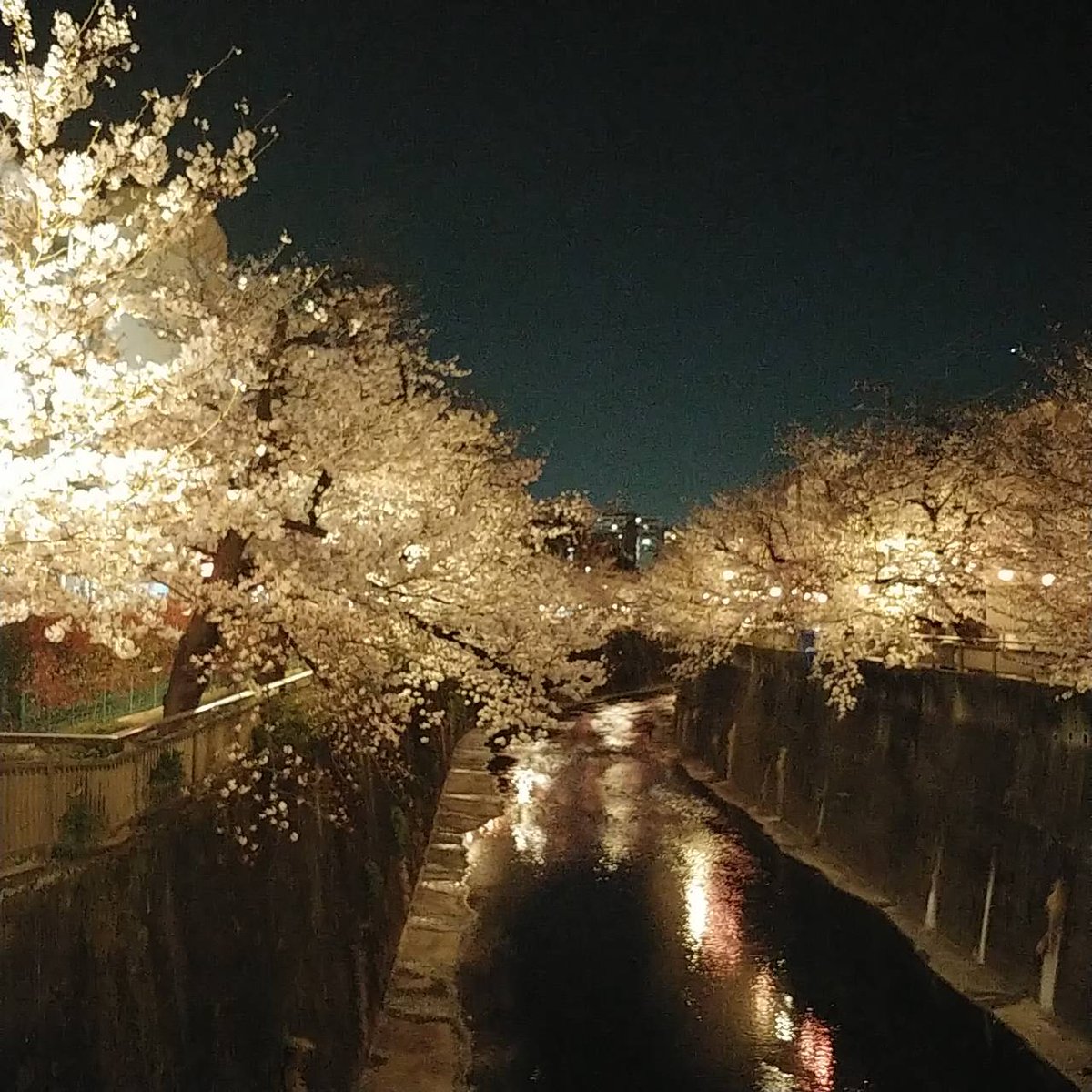 ◆僕は田舎者なので東京のランドスケープに興味がある。
◆パンダさんご夫妻の出没エリアは僕は出現しないエリアだが、写真を見てなぜか「謎かけ言葉」というフレーズを思い出しスタレビの名曲「夢伝説」を思い出した。
◆大阪のラジオでVoの根本さんが笑瓶さんと共演してた番組を毎週、聴いてた。