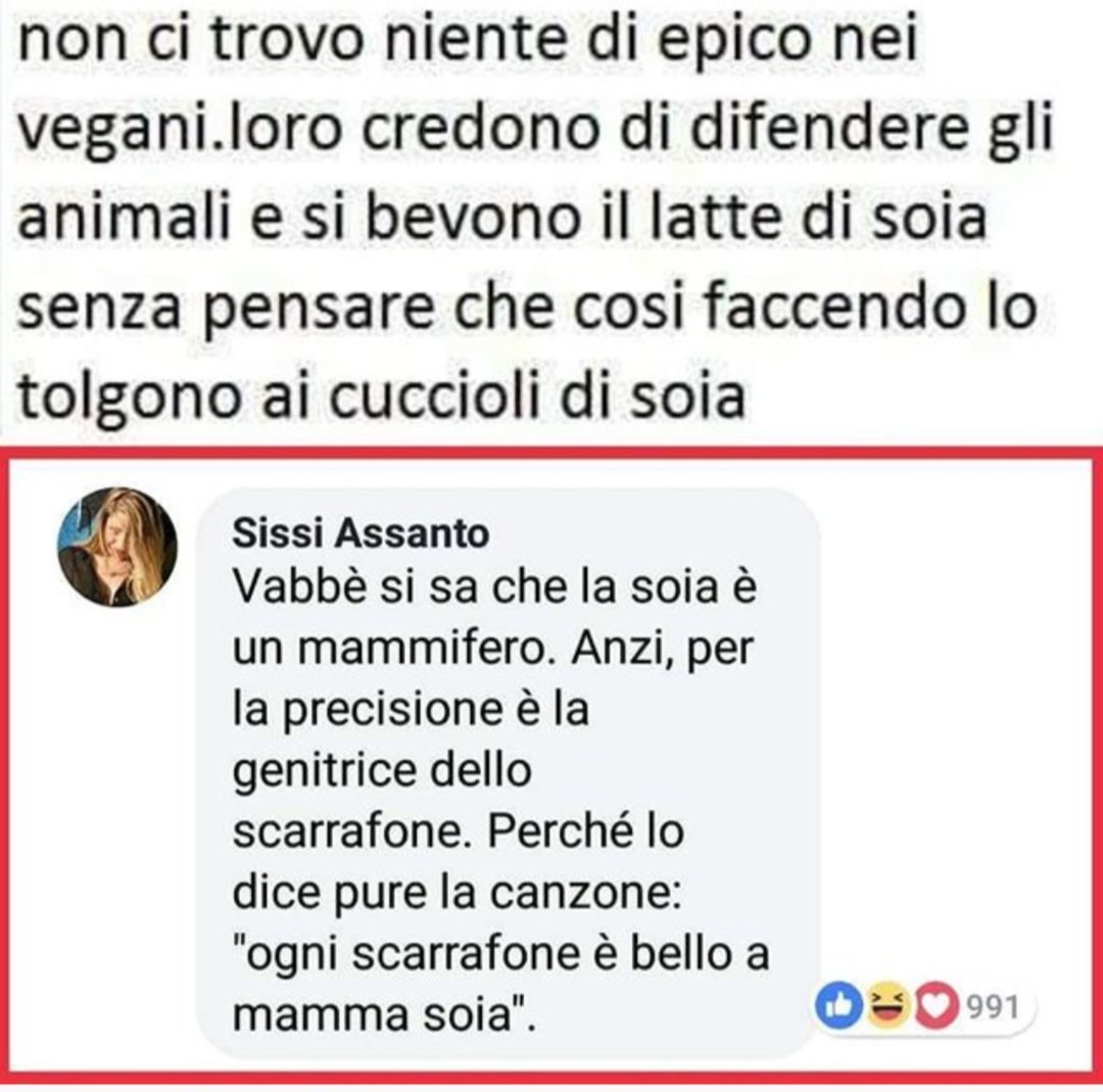 Fabio_DeBunker's tweet image. Poveri cuccioli di soia...😅
#commentimemorabili