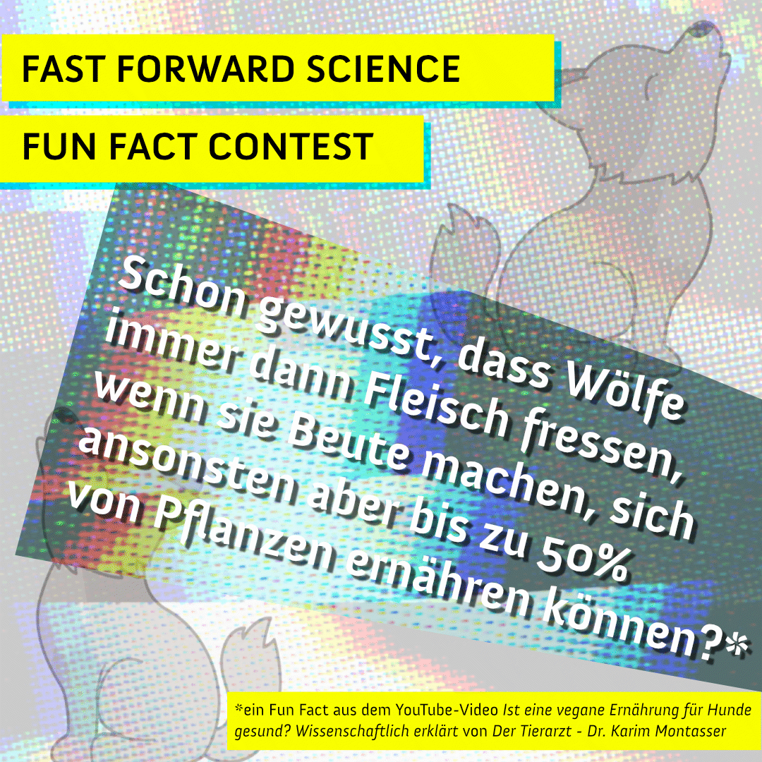 fforwardscience's tweet photo. Wenn du wissen willst, ob eine vegane Ernährung für Hunde möglich ist, schau doch mal in dem Video von Der Tierarzt vorbei. Und danach: #ScienceFunFact kommentieren oder einen eigenen Tweet erstellen & den Hashtag #FFSciFunFact und @fforwardscience erwähnen. https://t.co/ZIyAGnm9wX