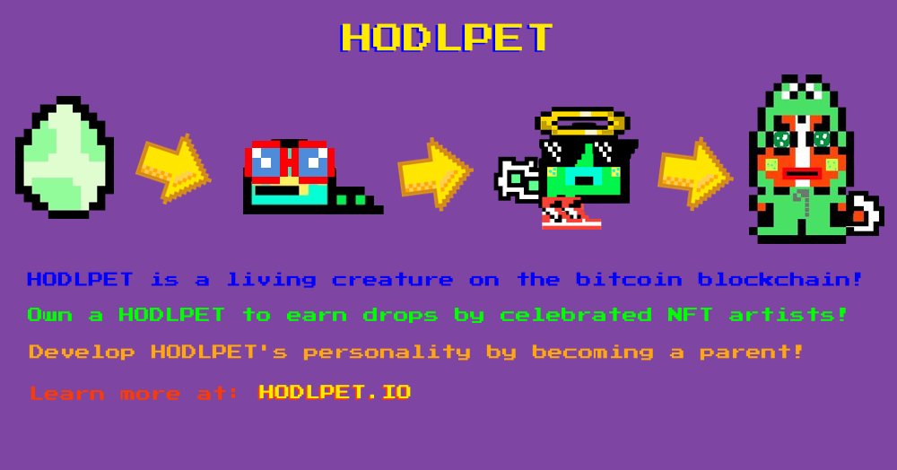 HODLPET (@hodlpet) on Twitter photo 