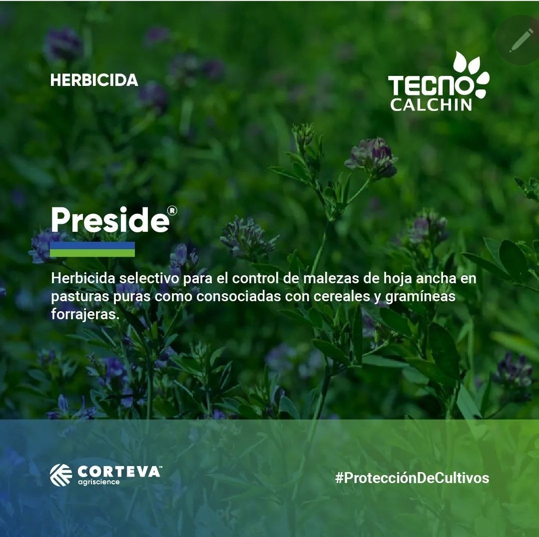 tecnocalchin's tweet photo. ▶️ Preside® #ProtecciónDeCultivos 🛡🌿
Herbicida selectivo para el control de malezas de hoja ancha en semilleros y pasturas de #Alfalfa 🌿 #TrébolBlanco #TrébolRojo #Lotus #Melilotus
Te asesoramos 🙋🏻♂
#TecnoCalchín 🧉
Distribuidores Emblema @CortevaARG https://t.co/kwgGsMqVpl