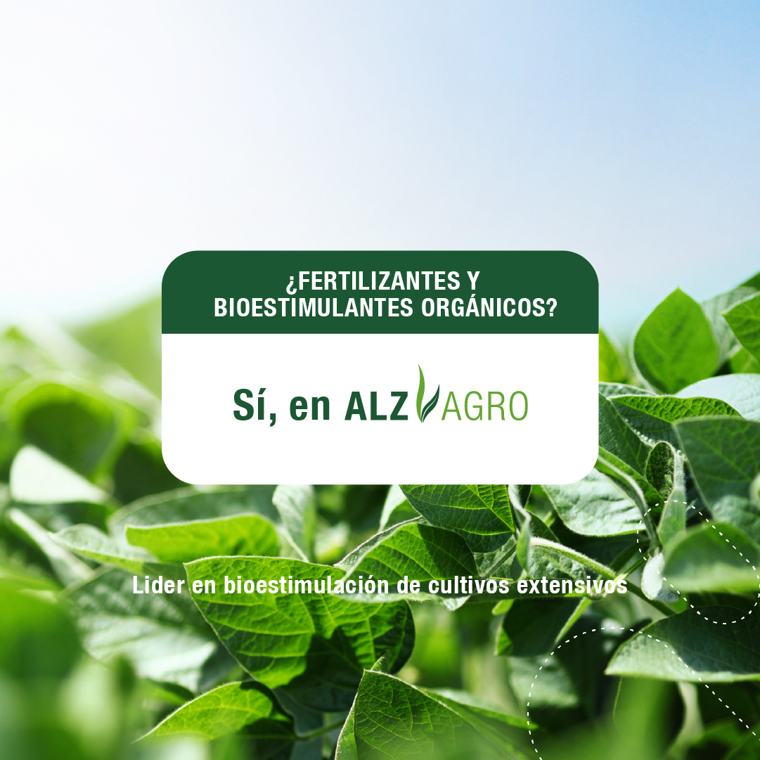 ALZ_Agro's tweet photo. Te ofrecemos soluciones en nutrición vegetal amigables con el medioambiente de origen vegetal y orgánicos ♻️
Conocé todos los productos que tenemos para ofrecerte ingresando en nuestra web.
#NutriciónVegetal #Smartfoil #TokePlus https://t.co/FVxrqAx99n