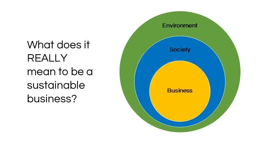 Eoin McQuone tweet media