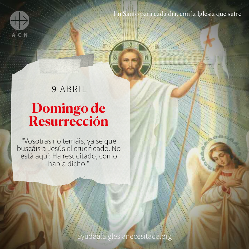 AyudaIglesNeces's tweet photo. #FelizDomingo #DomingodeResurrecion Celebramos el triunfo de Jesucristo, la feliz conclusión de su Pasión y la alegría que sigue al dolor: la redención y liberación del pecado de la humanidad.
¡Feliz Pascua de Resurrección! https://t.co/LWYxm5hMhx