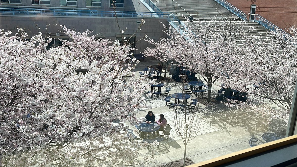 Spring has officially arrived at YHS! <a href="/MsPorterAPS/">Laura Porter</a> <a href="/YorktownSentry/">Yorktown Sentry</a> <a href="/Principal_YHS/">Dr. Kevin Clark</a>