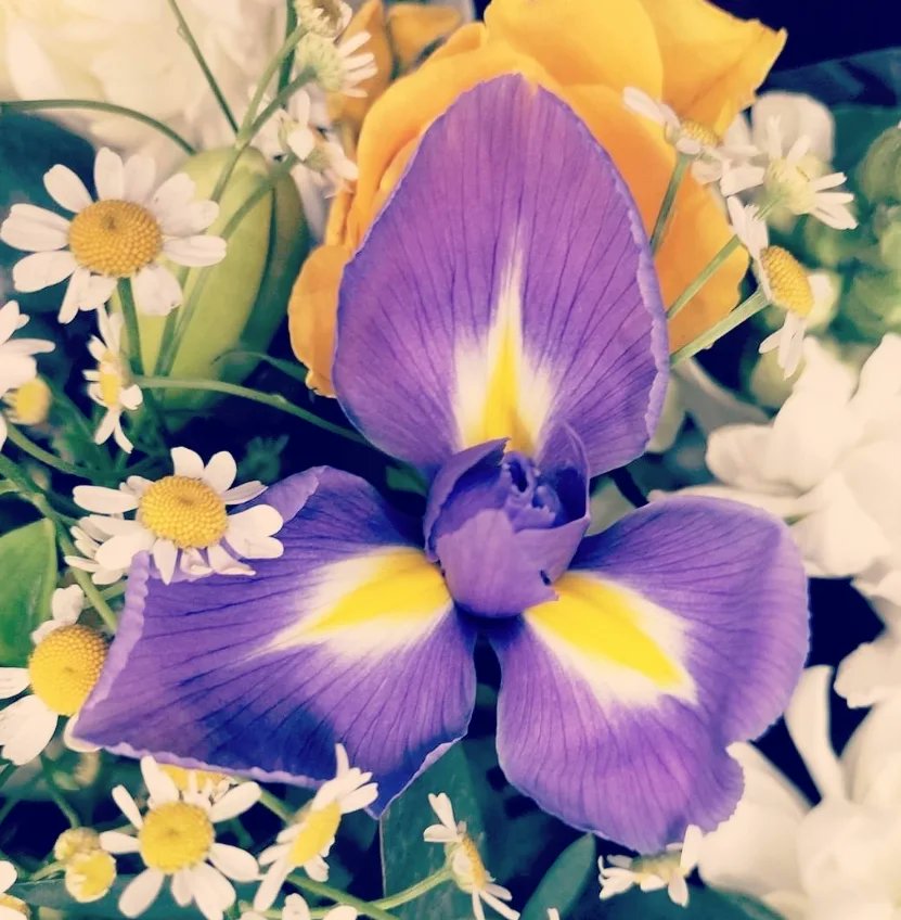 MichellePoet's tweet photo. #songs #songwriter #songwriting #songwords #lyrics #lyricist #music #musicandlyrics #photooftheday #photographer #photography #collage #collageart #photoart #collageartist #love #light #relationships #Meaningful #blessed #michellemorris #muse #creator #hope #life #lifelessons https://t.co/NwWozd1MbU