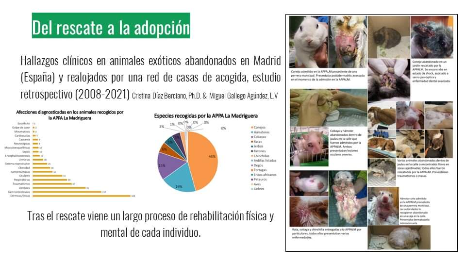 Federacion Española de Proteccion Animal tweet media