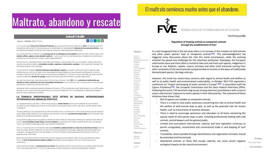 Federacion Española de Proteccion Animal tweet media