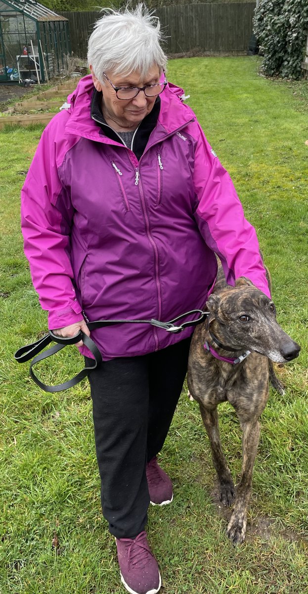 GTWolverhampton's tweet photo. Today Fitzo left us for his new home with Barbara, shortening his name to Fitz and soon jumped into the car #playnicely https://t.co/pTZ7QBx83Q