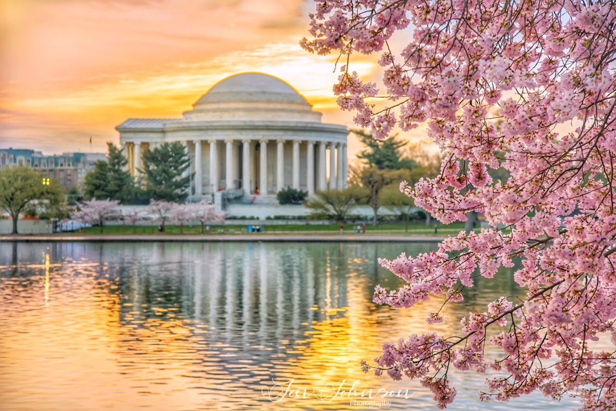 Beautiful Morning! 🌸 #Sunrise Cherry Blossoms at the Jefferson Memorial in Washington, DC <a href="/spann/">James Spann</a> #cherryblossoms #cherryblossom