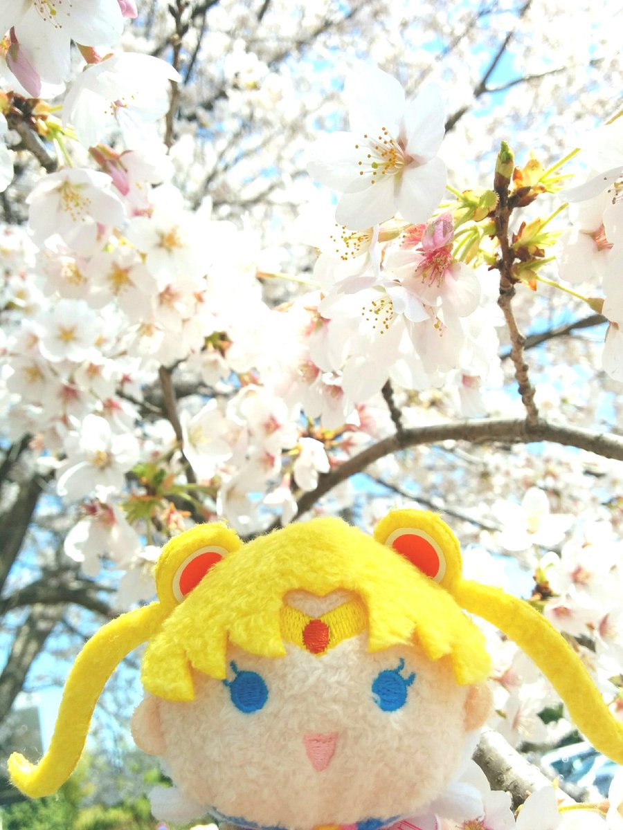 mahina_n's tweet photo. 2019、2020、2022

2021は手しか写ってなかった🤣 https://t.co/M0WzeTlMYF