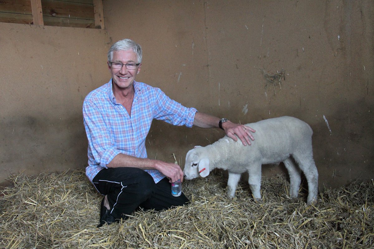 Remembering Paul O'Grady and his tireless charity work 💚💛🤎 💫 @RSPCA_official 💫 @Battersea_ 💫 @save_children + many more. ❣️ smileymovement.org/news/rememberi…