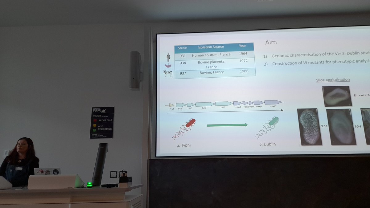Our second flash talk is from <a href="/emilyr_watts/">Emily 🧬🧫</a> who's been down with the <a href="/LangridgeLab/">Langridge Lab</a> at the <a href="/TheQuadram/">Quadram Institute</a> doing Salmonella sequencing, using their PromethION to multiplex up to 96 samples