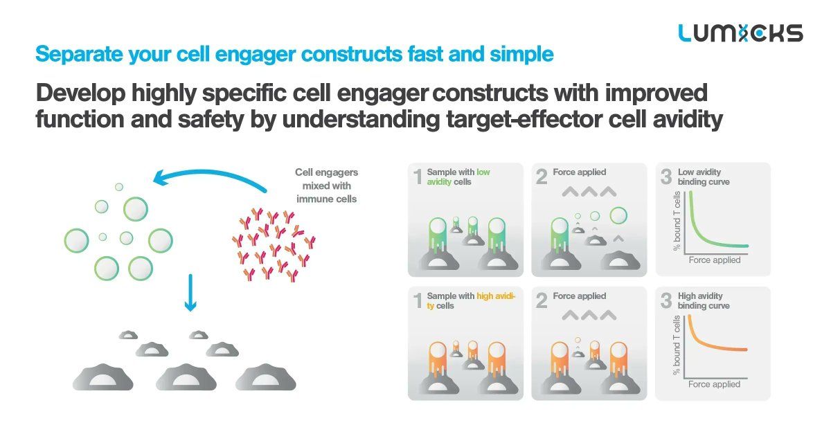 LUMICKS_nl's tweet photo. Looking for a fast and simple way to separate your #cellengager constructs? #Cellavidity measurement is an innovative and reproducible approach that allows researchers to rank #cellengagers by quantifying cell-to-cell binding events. Find out more:⬇️
https://t.co/GkZ1HmN0Nd https://t.co/nTqmdWwh7f