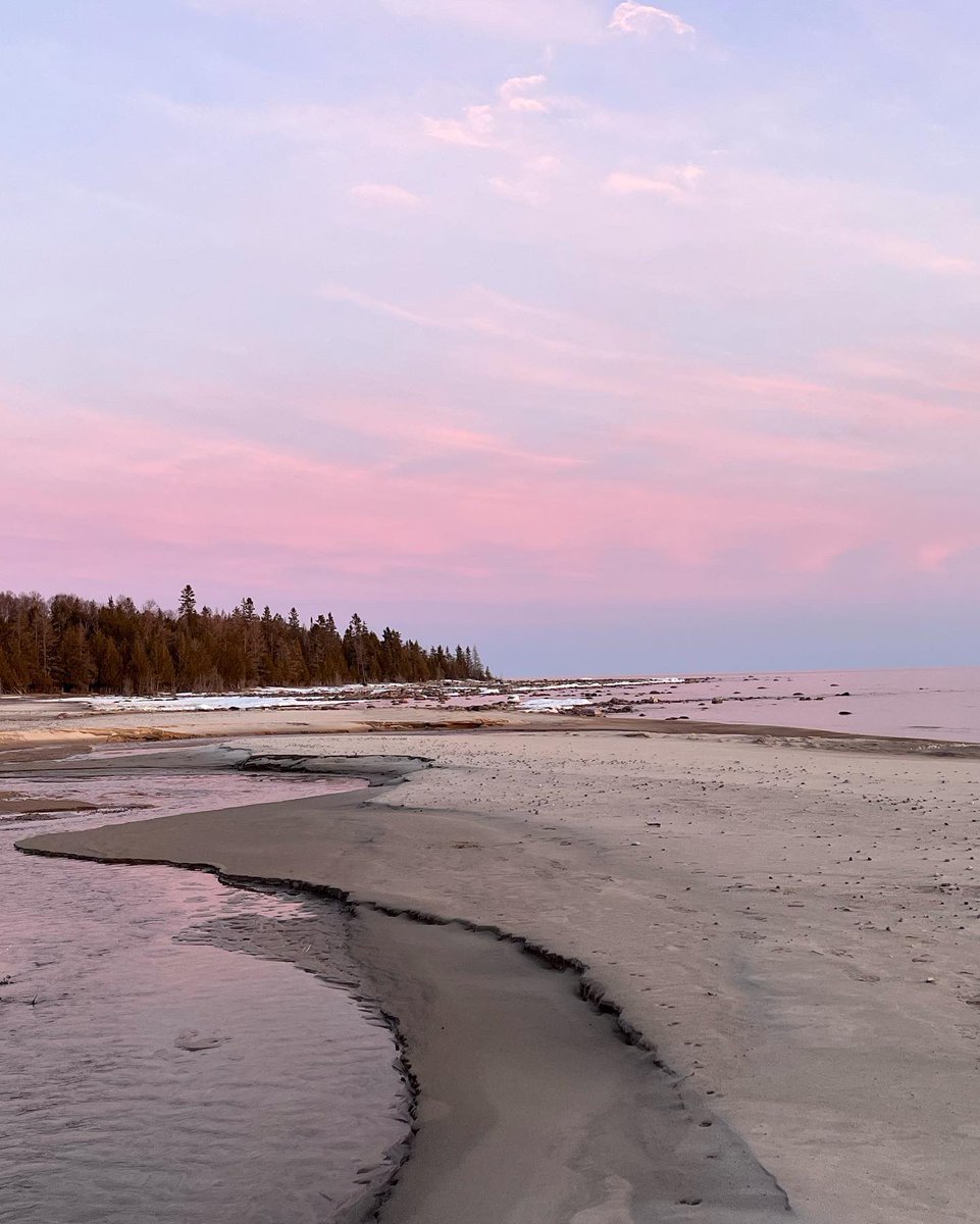 Christine McNaughton 🇨🇦 tweet media