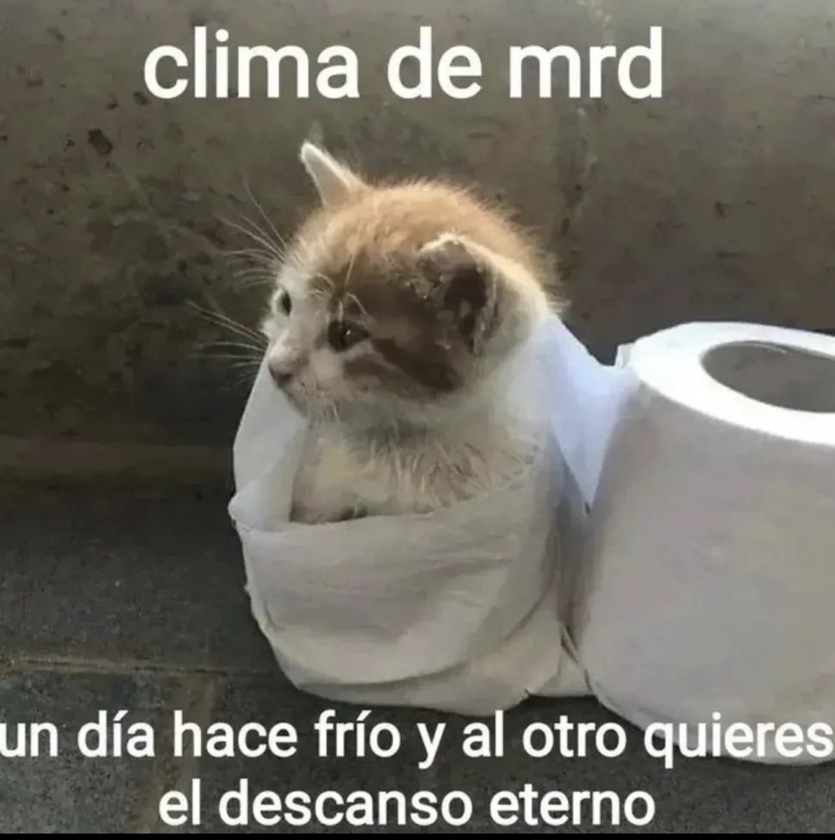 aXo (@axozerr) on Twitter photo 