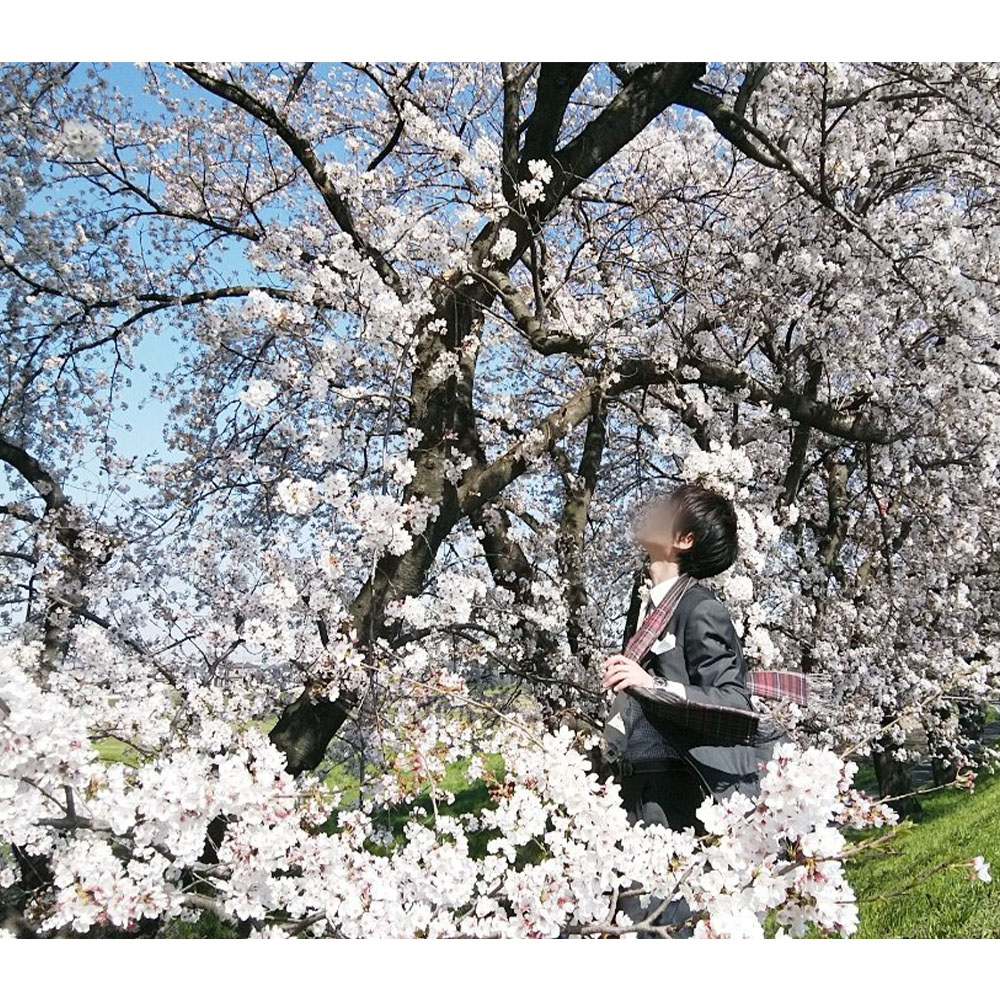 konomuraZ's tweet image. インスタ再掲第5弾。
スーツと桜。

#そうだスーツ着よう
#drawingreference