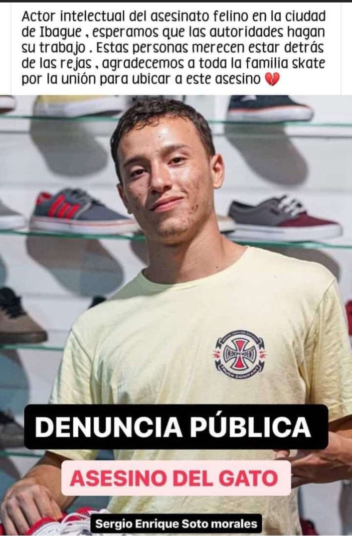 𝗪𝗜𝗟𝗦𝗢𝗡 𝗦𝗨𝗔𝗭𝗔 tweet media