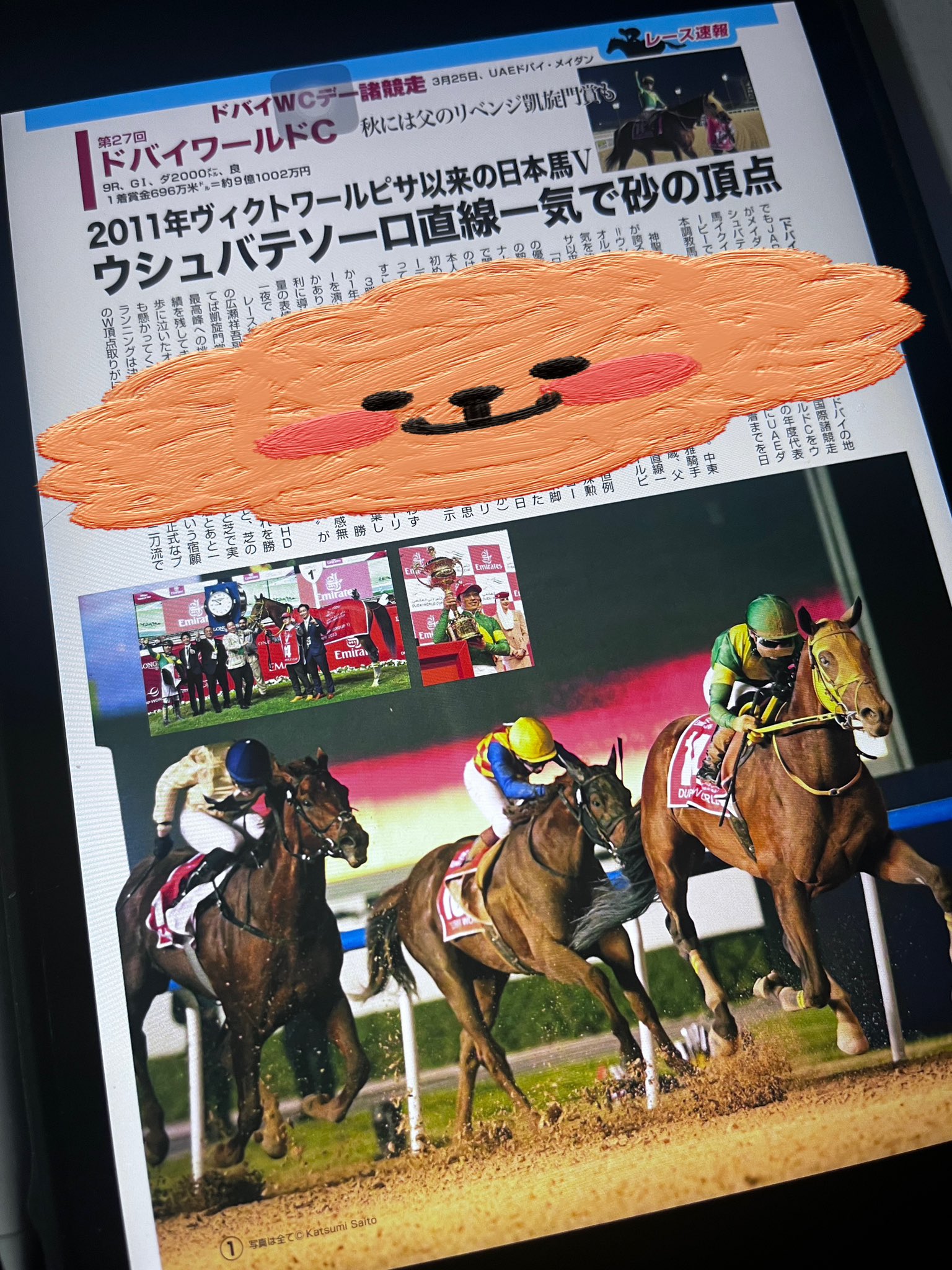 競馬ぬいぐるみ ドバイワールドカップ ヴィクトワールピサ他 アイドル