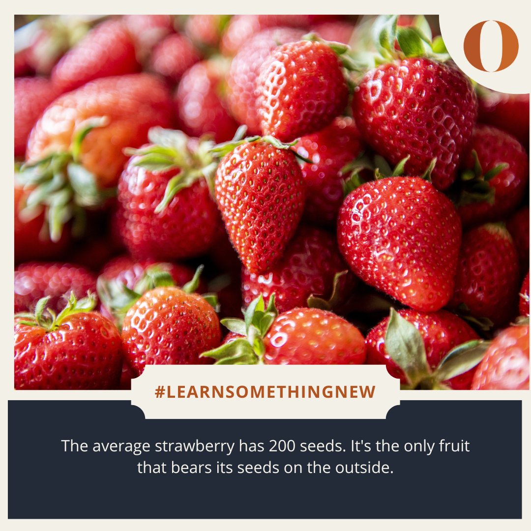 Oxford Summer Courses tweet media