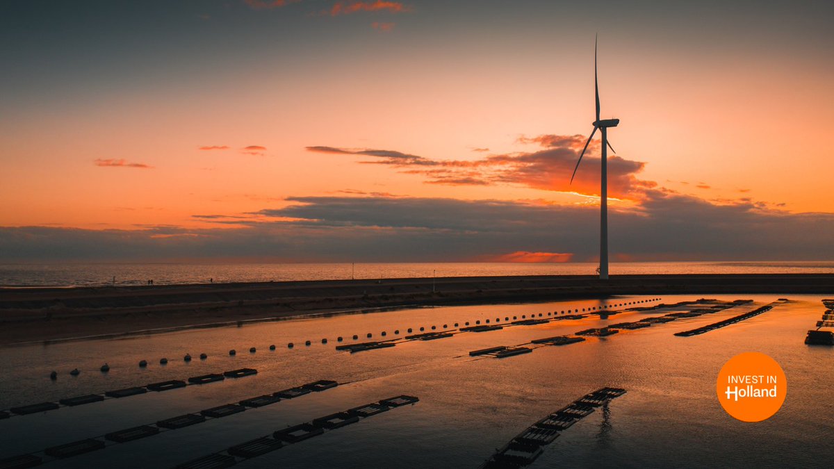As one of the world's leaders in #RenewableEnergy, the Netherlands is a hotbed for energy innovative opportunities and quite advantageous for international energy companies looking to locate or expand in Europe. investinholland.com/doing-business…
