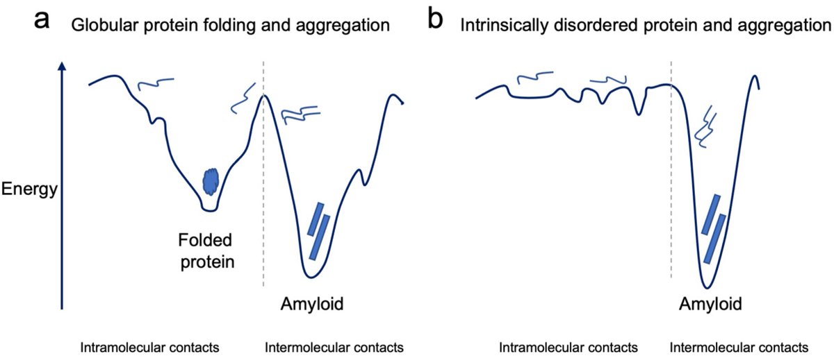 Molecules_MDPI's tweet photo. 📌#bacterialamyloid #biofilm #curli #FapC
New Publication “Functional Bacterial Amyloids: Understanding Fibrillation, Regulating Biofilm Fibril Formation and Organizing Surface Assemblies”
By: Daniel Erik Otzen, et al.
👉https://t.co/3Dt2KhFaWI
#mdpimolecules #NewPublication https://t.co/sLeWAFI3DU