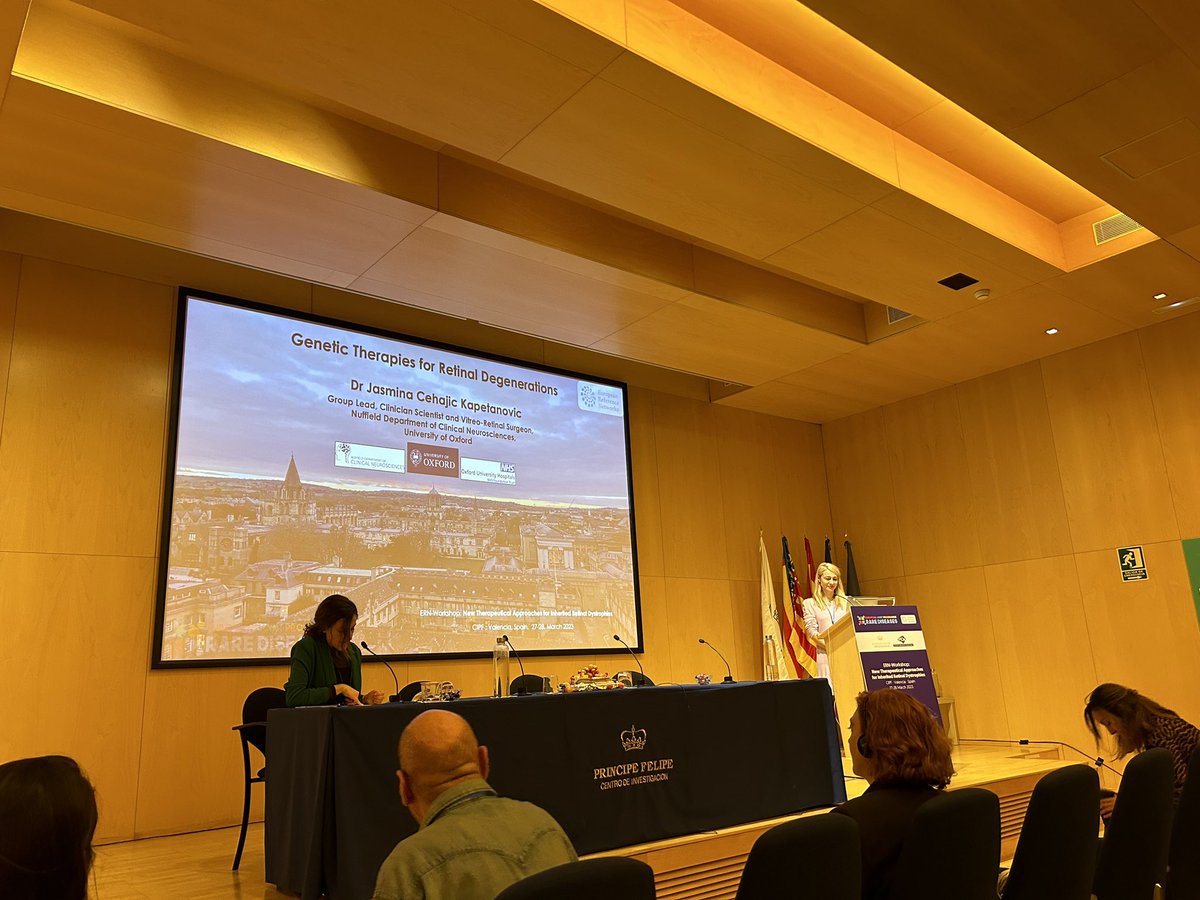 Jandritu's tweet photo. Session 6 opened with an iverview on non-viral vectors by G.Puras, followed by the great talk by J.C. Kapetanovic. Last speaker was Guadalupe, one of the first Spanish patients with an electronic device. She gave us all an inspiring lesson full of optimism and hope.#ERNworkshop https://t.co/Cq2EJB8pzu