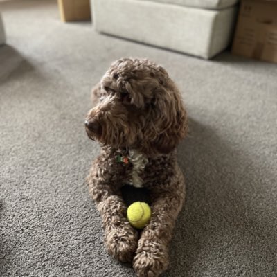 LisaOrme9's tweet photo. #NewProfilePic https://t.co/MyFkbn47fB