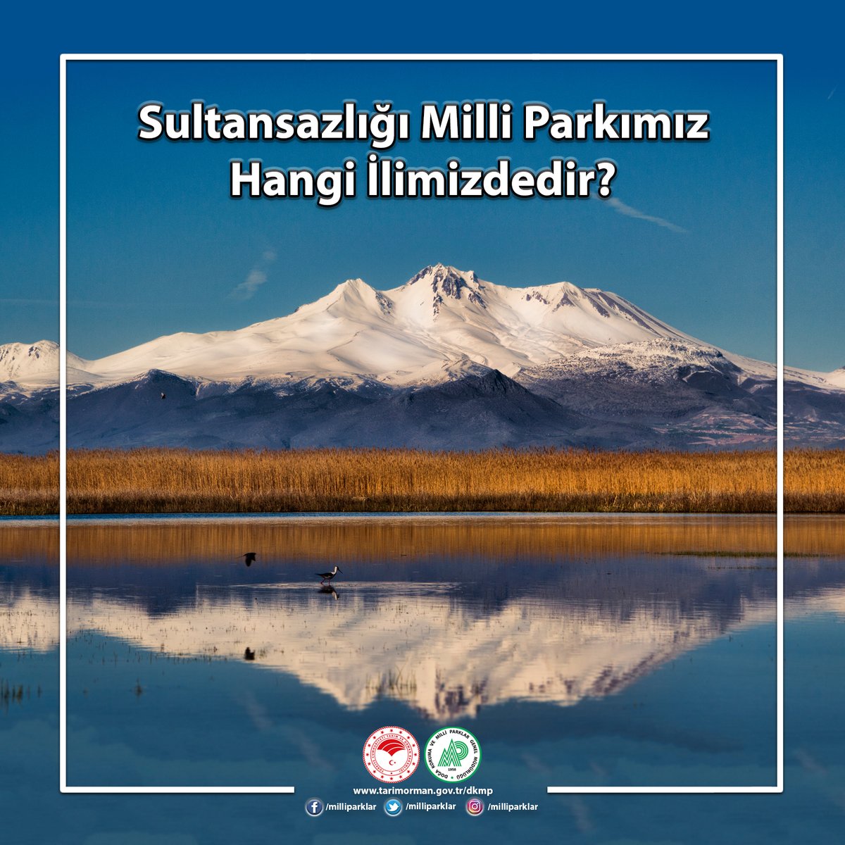 Cevaplarınızı Bekliyoruz👇🏻