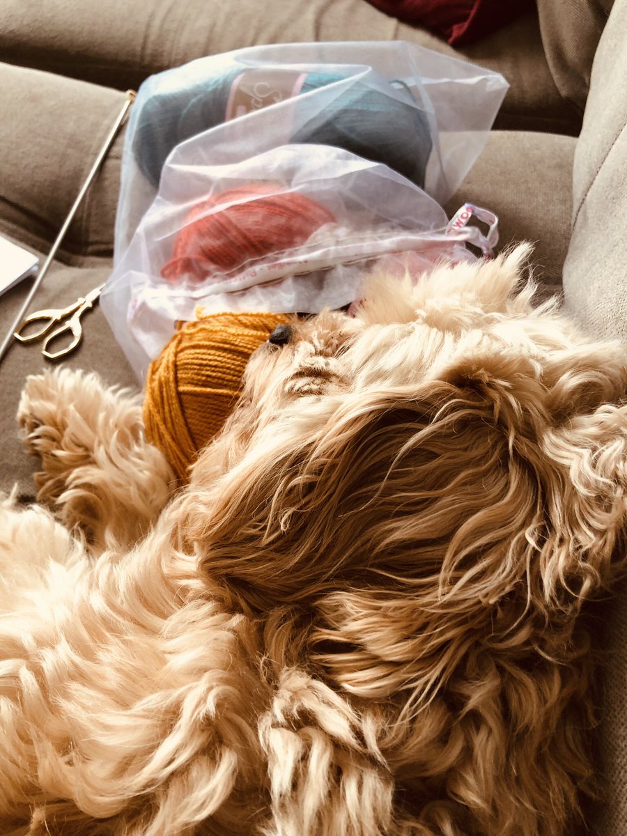 Charlie Cropp tweet media