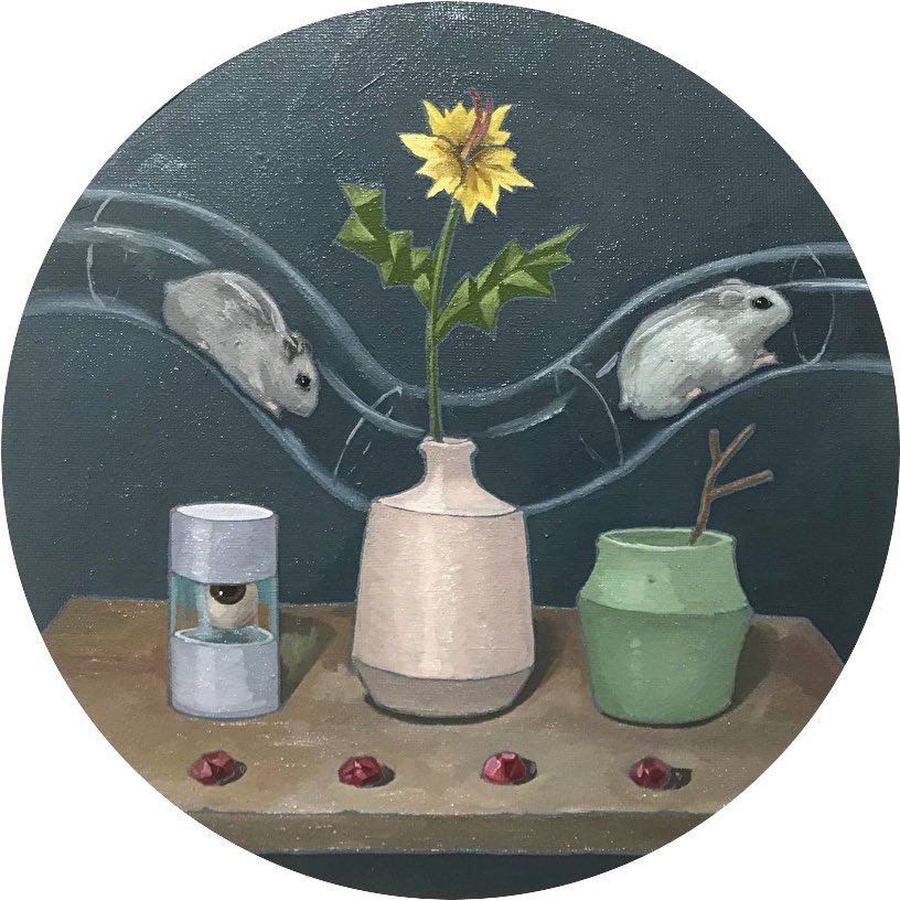 no humans flower mouse plant vase yellow flower flower pot  illustration images