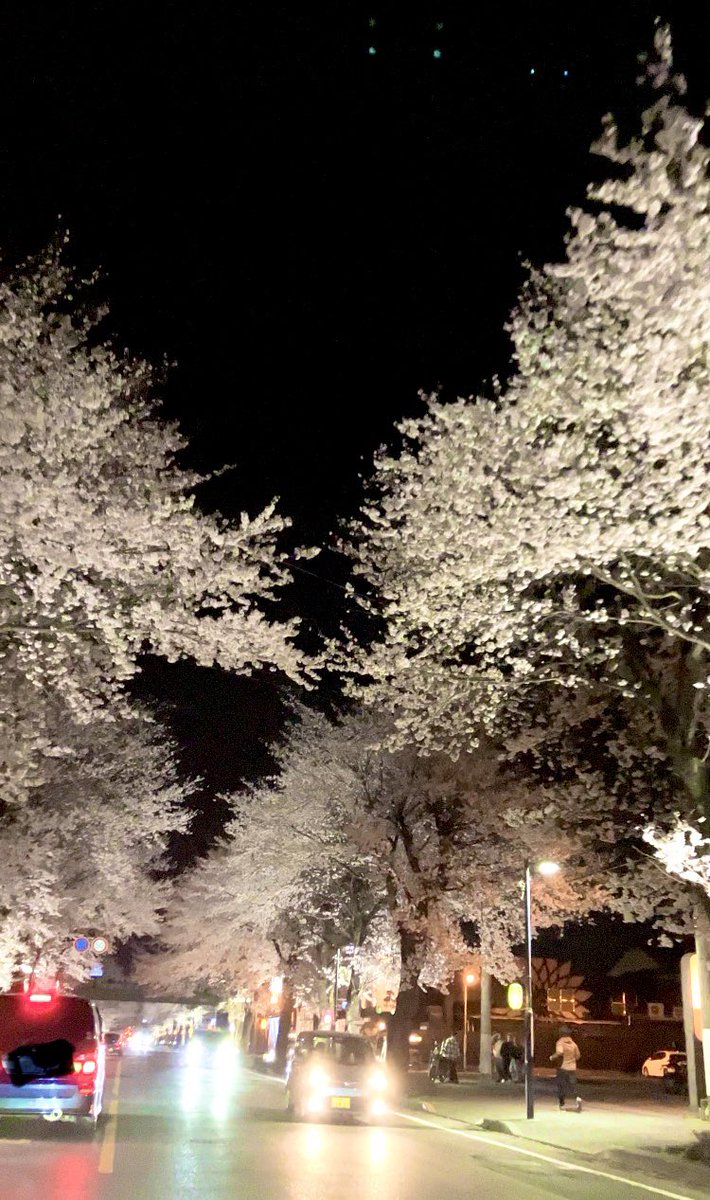 ken0102s's tweet photo. 夜桜
本当に久々
春を感じるだけじゃなく、新たな始まりを感じさせてくれる
#桜
#夜桜
#桜並木
#春
#新たな始まり https://t.co/mjXNDcACwj