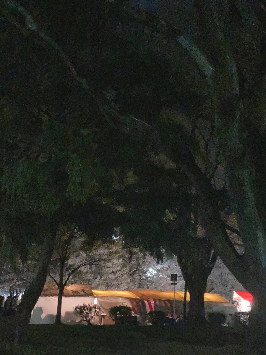 aaa_0422_'s tweet photo. 大須観音で服とか見てきた！！
鶴舞公園で桜を見てきた！！ https://t.co/g6UpgjgOcR