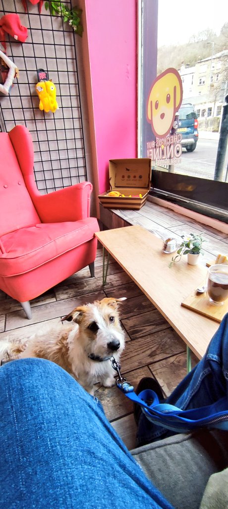 Firesnapper999's tweet photo. Wander through #HebdenBeidge park, then a leg rest stop at @kibblebakery Dog Cafe. Eddie met a few #4PawDrive mates. Lovely addition to the #DogFriendly portfolio of #CalderValley. https://t.co/Fc4peeNGs7
