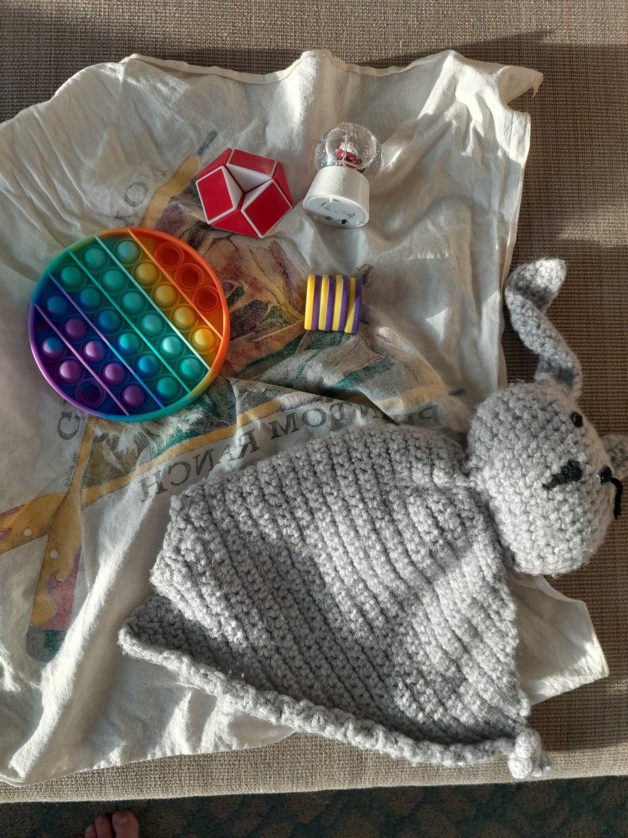 marainthewoo's tweet image. My luggage arrived! Watch out, #apbs2023! My sweet boy hid toys throughout, just in case I needed them.