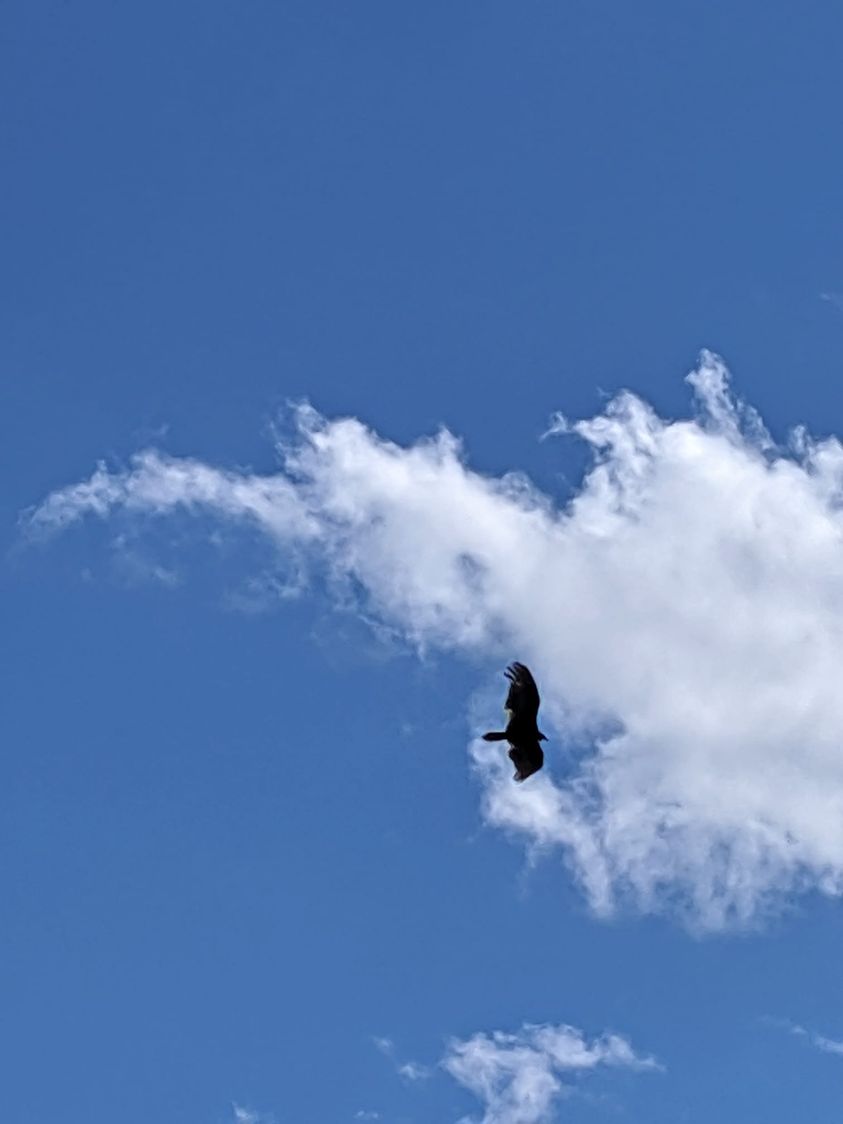 jeffrey ford tweet media