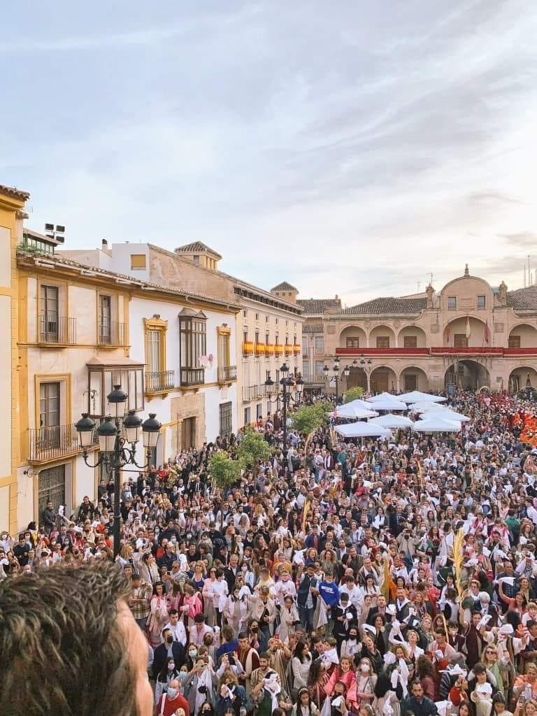 PasoBlanco_3's tweet photo. 🗓️ Domingo de Ramos
📍 Plaza de España https://t.co/upzkZ3oq8Y