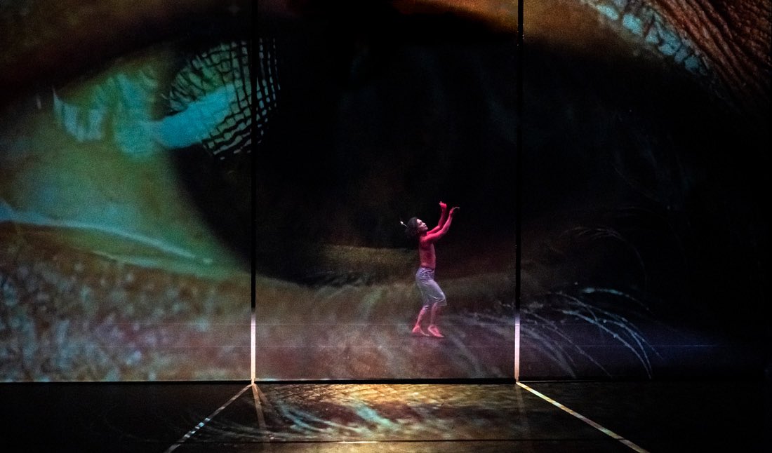 VJsMag's tweet image. Check out @jean_poole_art, the Melbourne-based #videoartist specializing in real-time #video manipulation! From #festivals to #theatre shows, he's projected his videos onto unique surfaces, like dinosaur skeletons and car wrecks in the Australian desert. #videoart #Melbourne