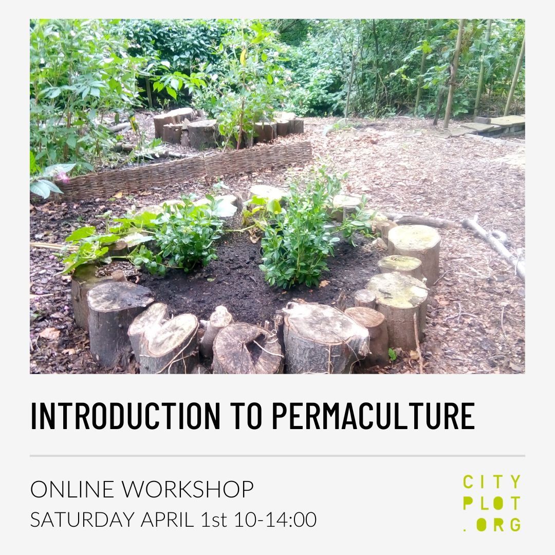 Cityplot tweet media