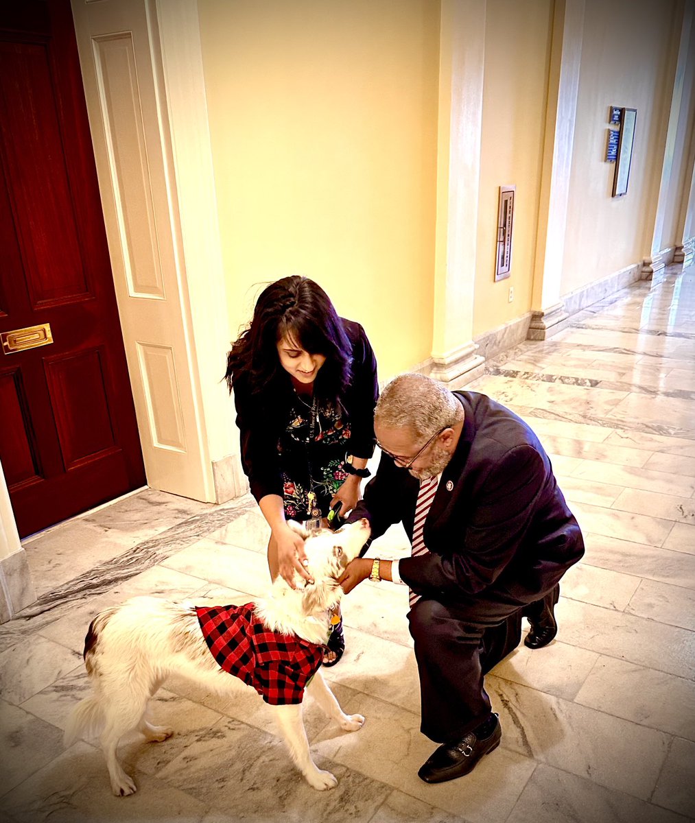 RepTroyCarter's tweet photo. Pets make the world a nicer place… Adopt one today! #laspca #spca #humanesociety https://t.co/ZKJcZy94qa