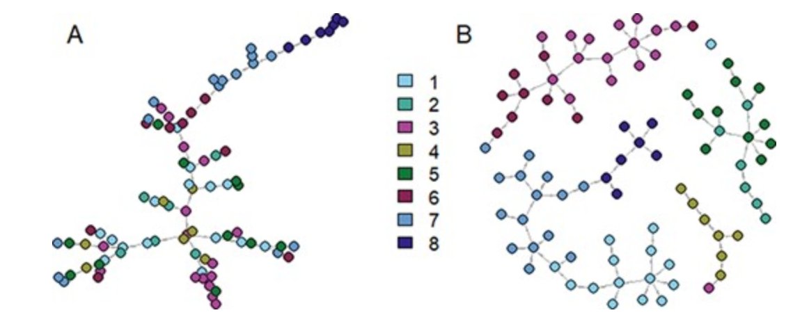 New paper by <a href="/AlxsRobert/">Alexis Robert</a> and others comparing inference of transmission chains from genomic data with epidemiological investigations - as well as a combination of the two: academic.oup.com/ve/article/9/1…