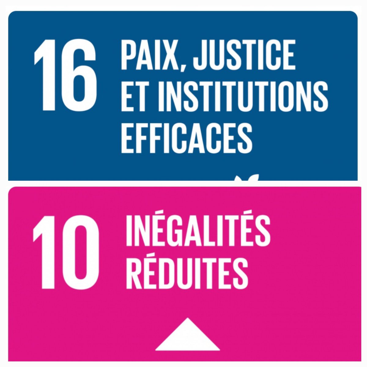 edd_acrennes's tweet image. #EDD 
👩🏼‍🎓👨🏽‍🎓🇺🇳
Développer l&apos;art du discours, l&apos;éloquence et l&apos;argumentation, des compétences au coeur des simulations de négociations onusiennes. #OBJECTIFODD @acrennes 
Se préparer au Grand oral par une mise en situation concrète 🌎🕊 #ODD16 #ODD10