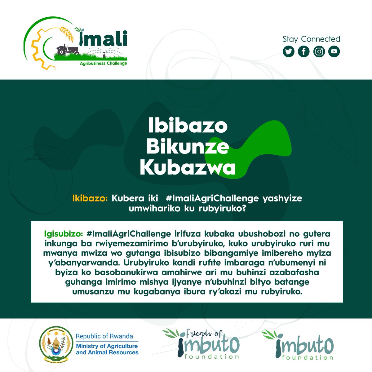 #ImaliAgriChallenge ni irushanwa rifite umwihariko ku rubyiruko. Imwe mu ntego z’iri rushanwa ni ugutanga umusanzu mu kugabanya ibura ry’akazi mu rubyiruko. Sangiza abandi aya makuru, mwandikishe imishinga yanyu uyu munsi kuri: imbutofoundation.org/imali/.